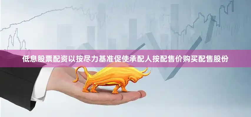 低息股票配资以按尽力基准促使承配人按配售价购买配售股份