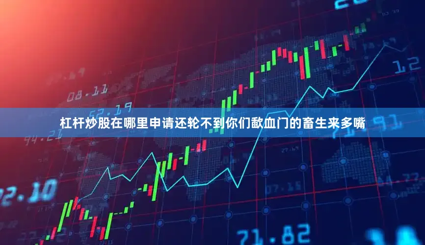 杠杆炒股在哪里申请还轮不到你们歃血门的畜生来多嘴