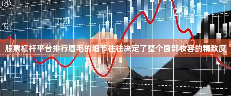股票杠杆平台排行眉毛的细节往往决定了整个面部妆容的精致度